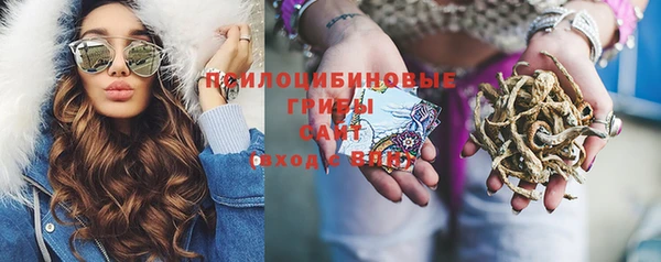 сатива Белокуриха