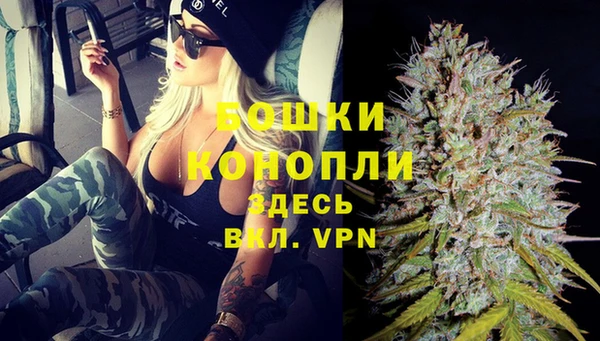 сатива Белокуриха