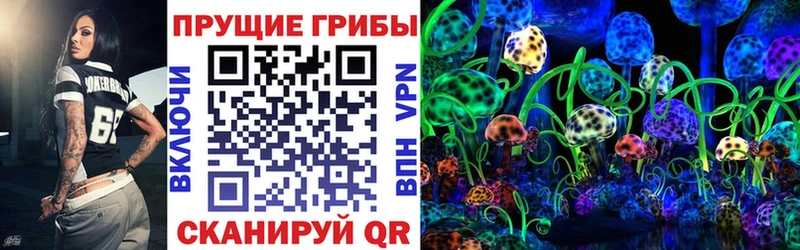 Галлюциногенные грибы прущие грибы  Верхний Тагил 